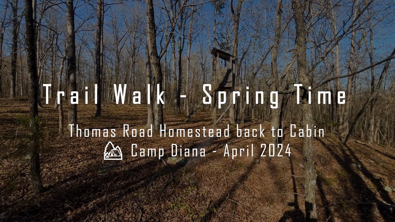 🚶🏼Trail Walk S1E01 - Oak Forest with beautiful Water Creek - Spring ☀️ - Shinrin-Yoku @ Camp Diana