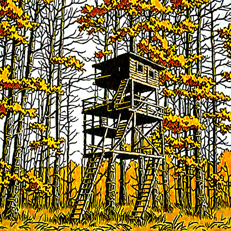 Tree Stands for Hunting – Best Types and Placing