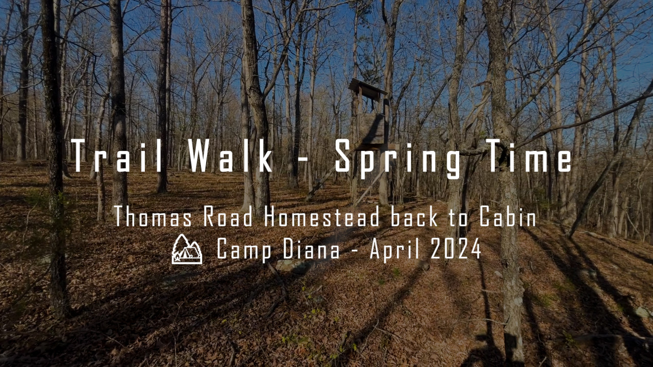 Trail Walk Spring Time – Shinrin-Yoku; ThomasRd Homestead back to Cabin